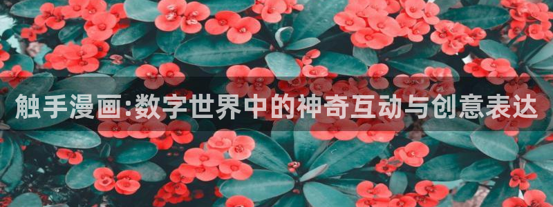 适合看韩漫画的软件