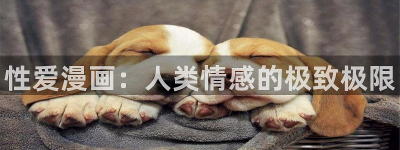 韩漫动漫大全