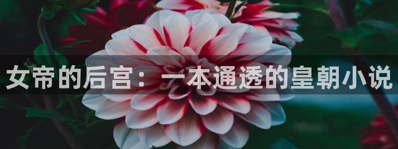 那个网站能看韩漫：女帝的后宫：一本通透的皇朝小说