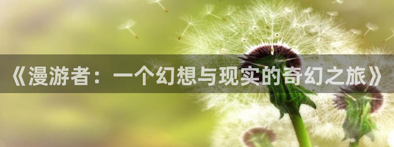www日韩漫画：《漫游者：一个幻想与现实的奇幻之旅》