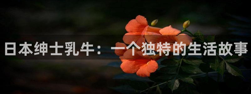 韩漫网站无删减：日本绅士乳牛：一个独特的生活故事