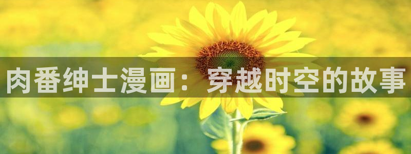 第一韩漫免费观看：肉番绅士漫画：穿越时空的故事