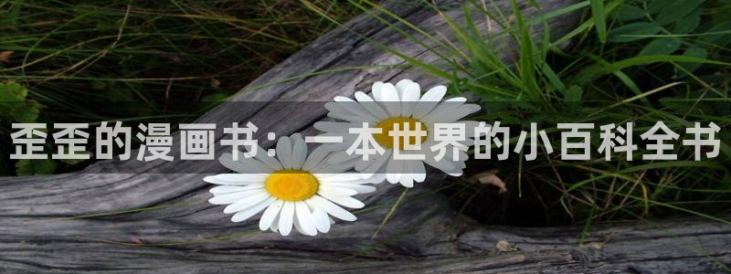 美丽新世界韩漫漫画免费阅读：歪歪的漫画书：一本世界的小百科全书