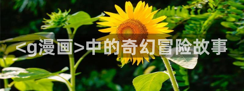 韩漫免费漫画免费网站
