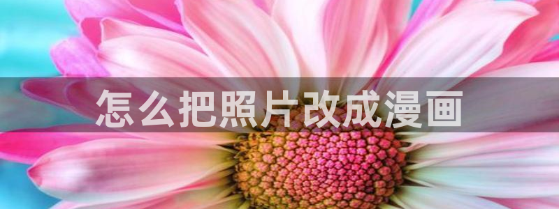 韩漫漫画免费在线观看