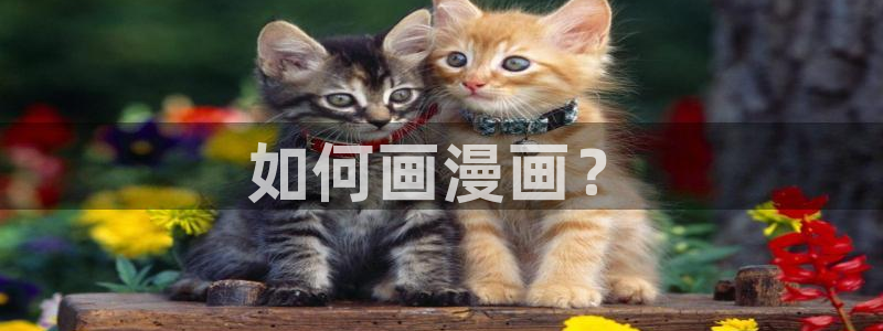 无删减韩漫免费在线观看