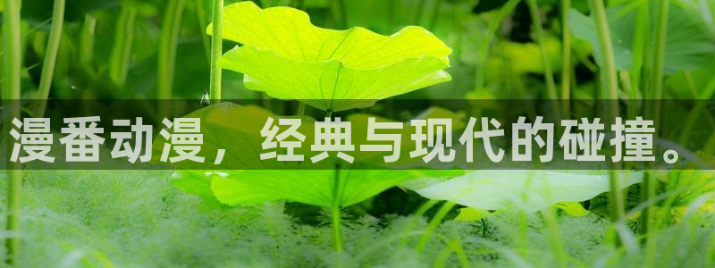 最新韩漫网址