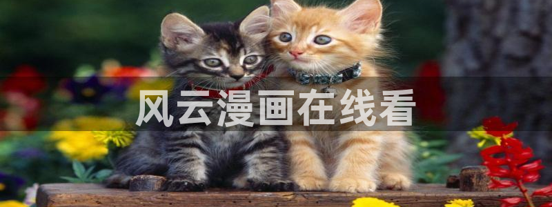 韩漫成人漫