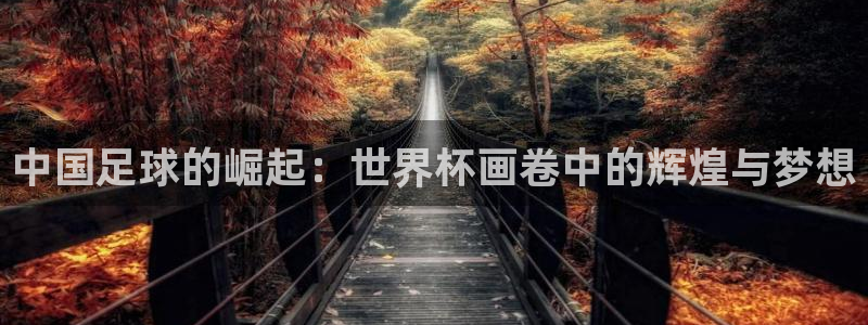 韩漫动漫化
