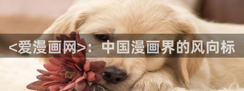韩漫在线阅读漫画画免费读漫画下拉式