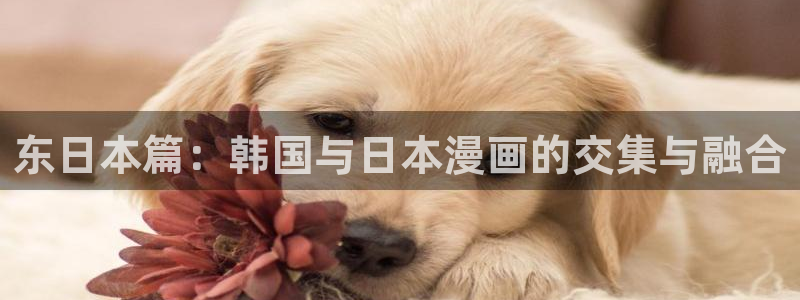 耽漫韩漫画网免费官网