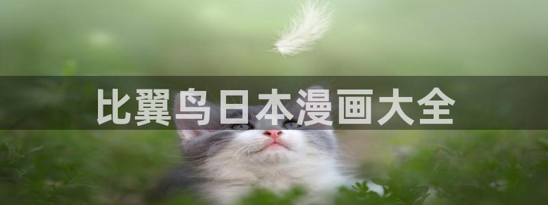 视频免费韩漫