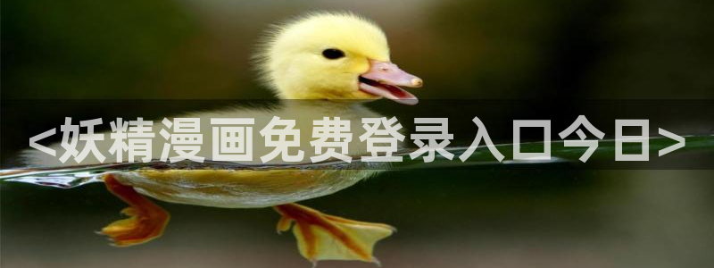 何敬书漫画韩漫