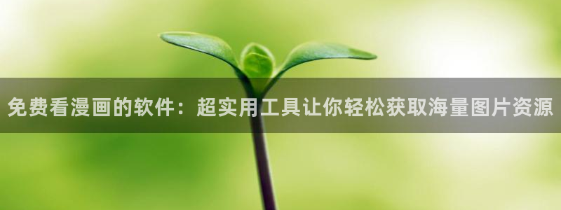 龙虎风云韩漫在线观看