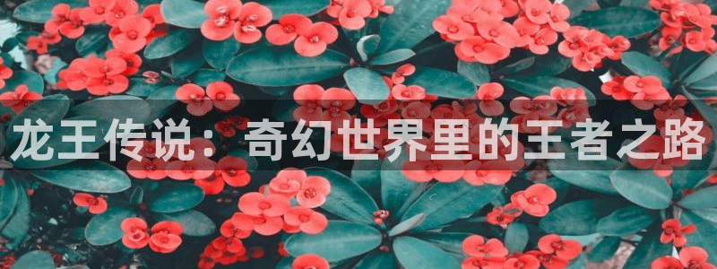 可以看韩漫网站