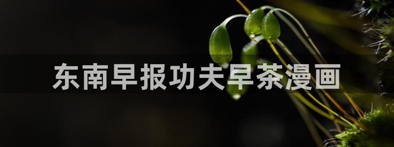 在哪里看韩漫免费
