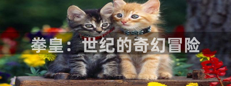 韩漫在线歪歪