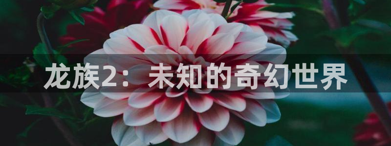 免费看韩漫官网入口
