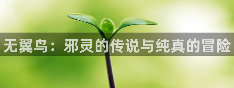 羞羞韩漫网站入口：无翼鸟：邪灵的传说与纯真的冒险